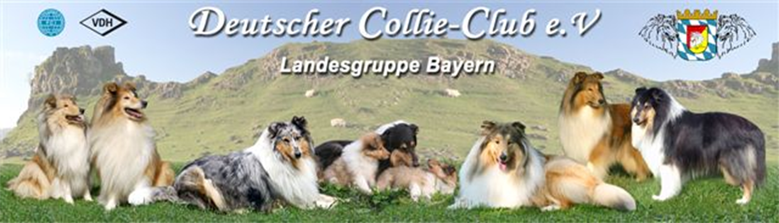 Deutscher Collie-Club e. V.